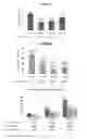 Fig. 05 - COMPOSITION FOR TREATING ARTICULAR CARTILAGE DEFECTS