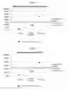 Fig. 08 - METHODS FOR PERFORMING A CORONARY ARTERY BYPASS GRAFT PROCEDURE