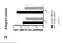 Fig. 05 - PULMONARY INTRAVASCULAR NON-CLASSICAL MONOCYTES MEDIATE LUNG TRANSPLANT ISCHEMIA-REPERFUSION INJURY
