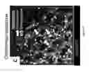 Fig. 12 - PULMONARY INTRAVASCULAR NON-CLASSICAL MONOCYTES MEDIATE LUNG TRANSPLANT ISCHEMIA-REPERFUSION INJURY