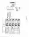 Fig. 17 - PULMONARY INTRAVASCULAR NON-CLASSICAL MONOCYTES MEDIATE LUNG TRANSPLANT ISCHEMIA-REPERFUSION INJURY