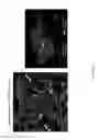 Fig. 22 - PULMONARY INTRAVASCULAR NON-CLASSICAL MONOCYTES MEDIATE LUNG TRANSPLANT ISCHEMIA-REPERFUSION INJURY