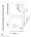 Fig. 25 - PULMONARY INTRAVASCULAR NON-CLASSICAL MONOCYTES MEDIATE LUNG TRANSPLANT ISCHEMIA-REPERFUSION INJURY