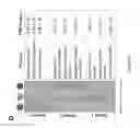 Fig. 30 - PULMONARY INTRAVASCULAR NON-CLASSICAL MONOCYTES MEDIATE LUNG TRANSPLANT ISCHEMIA-REPERFUSION INJURY