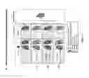 Fig. 31 - PULMONARY INTRAVASCULAR NON-CLASSICAL MONOCYTES MEDIATE LUNG TRANSPLANT ISCHEMIA-REPERFUSION INJURY