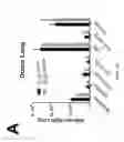 Fig. 46 - PULMONARY INTRAVASCULAR NON-CLASSICAL MONOCYTES MEDIATE LUNG TRANSPLANT ISCHEMIA-REPERFUSION INJURY