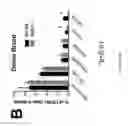 Fig. 53 - PULMONARY INTRAVASCULAR NON-CLASSICAL MONOCYTES MEDIATE LUNG TRANSPLANT ISCHEMIA-REPERFUSION INJURY
