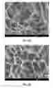 Fig. 06 - Vitamin functionalized gel-forming block copolymers for biomedical applications