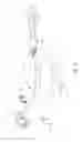 Fig. 07 - Infusion system and components thereof