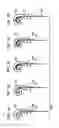Fig. 07 - Barriers for electrodes