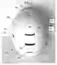 Fig. 03 - Liner assembly for a protective helmet