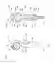 Fig. 04 - Water toy