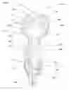 Fig. 06 - Water toy