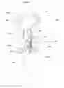 Fig. 07 - Water toy