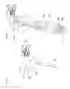 Fig. 12 - Water toy
