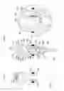 Fig. 16 - Water toy