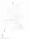 Fig. 32 - Water toy