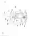 Fig. 48 - Water toy