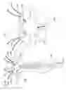 Fig. 67 - Water toy
