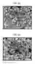 Fig. 06 - Silver nanoparticles