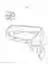Fig. 02 - METHOD OF MOLDING MOLDED ARTICLE, MOLDED ARTICLE AND DIE