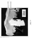 Fig. 17 - THREE-DIMENSIONAL PRINTING