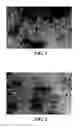 Fig. 02 - Light weight gypsum board