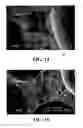 Fig. 09 - Light weight gypsum board