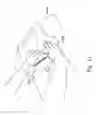 Fig. 12 - Transfer for application to a surface