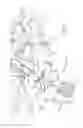 Fig. 06 - Universal wishbone trailing arm