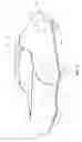 Fig. 02 - Motor Vehicle Cover