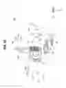 Fig. 17 - Headlight module and headlight
