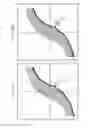 Fig. 07 - Power steering adjustment device