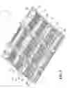 Fig. 09 - Track for traction of a vehicle
