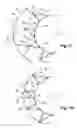 Fig. 07 - Aircraft engine assembly, comprising flexible force transmitting devices radially arranged between the thrust reversal cowls and the engine