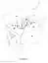 Fig. 07 - Carton and carton blank