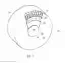 Fig. 02 - COIL PROTECTOR, METHOD AND KIT THEREWITH