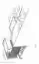 Fig. 02 - Check stand conveyor vacated shopping bin