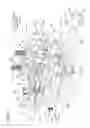 Fig. 06 - Sheet conveying apparatus