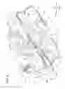 Fig. 10 - Sheet conveying apparatus