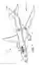 Fig. 08 - Flexible hydrostatically normalized cradle to support fuselage sections for assembly