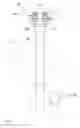 Fig. 02 - Lifting column