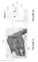 Fig. 02 - PX3 FOR HORSES