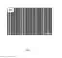 Fig. 02 - Method for characterizing carbon nanotubes by using scanning electron microscope