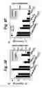 Fig. 07 - Thermochemical gas reduction process using poly-cation oxide