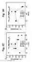 Fig. 09 - Thermochemical gas reduction process using poly-cation oxide