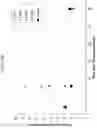 Fig. 147 - Methods and compositions for concrete production