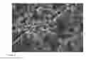 Fig. 09 - Method for synthesizing ceramic composite powder and ceramic composite powder