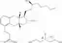 Fig. 110 - Amine salts of a prostacyclin analog