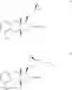 Fig. 151 - Amine salts of a prostacyclin analog